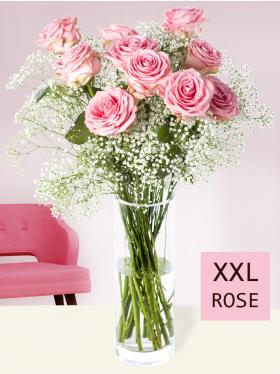 10 Rosa Rosen mit Schleierkraut (XXL Blüte)
