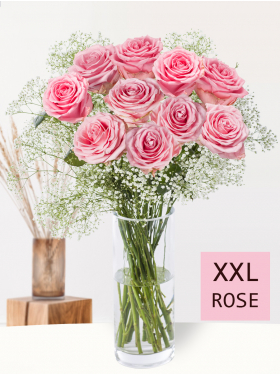 10 Rosa Rosen mit Schleierkraut