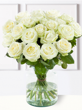 20 Weiße Rosen - Avalanche