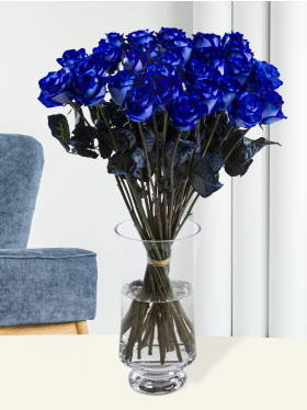 30 Blaue Rosen