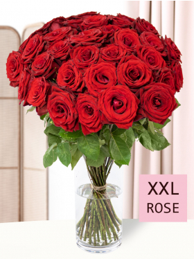 40 Rote Rosen - Red Bentely