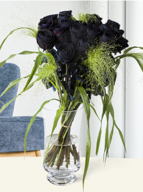 20 Schwarze Rosen mit Panicum