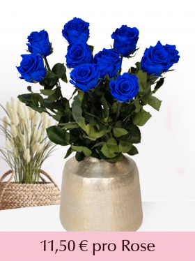 Blaue Long Life Rosen