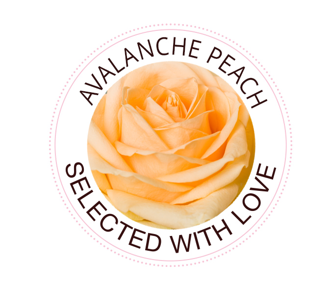 Avalanche Peach