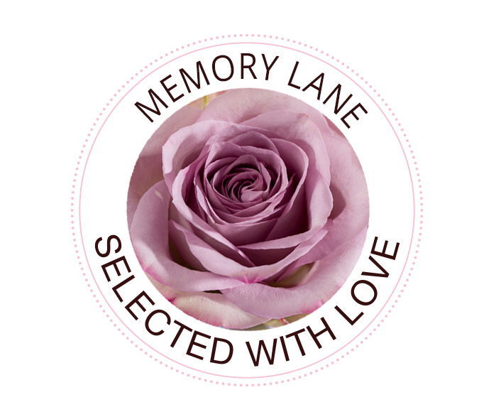 Die Memory Lane Rose