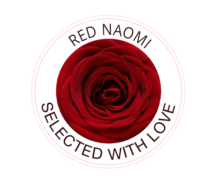 Die Red Naomi Rose