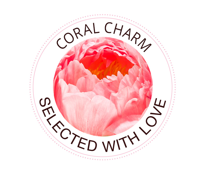 Coral Charm Pfingstrose